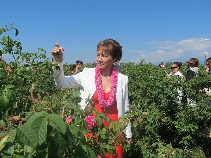 Желязната Галя от Долината на розите