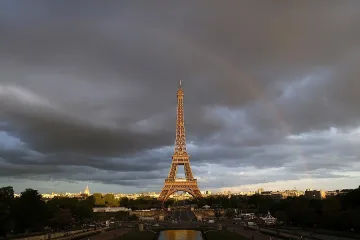 Задържаха мъжа, намушкал френския вонен