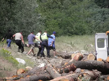 Отсечена топола смаза крака на секач