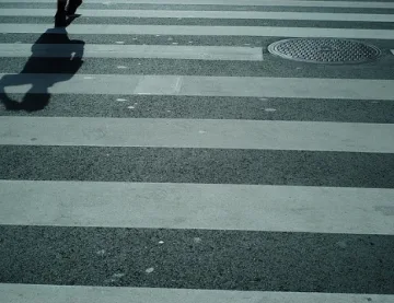 Жена уби дете на зебра