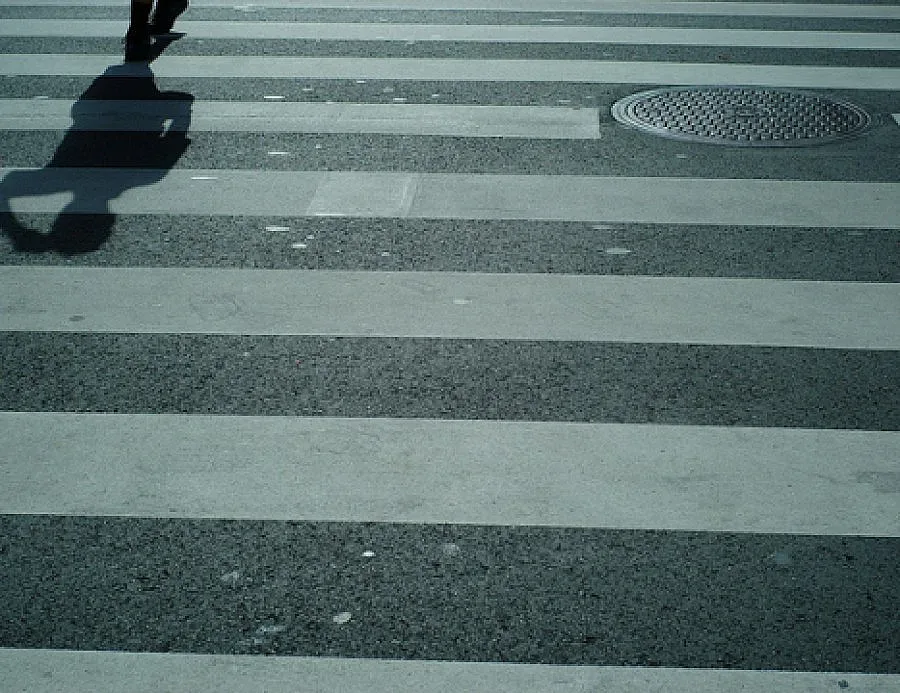 Жена уби дете на зебра