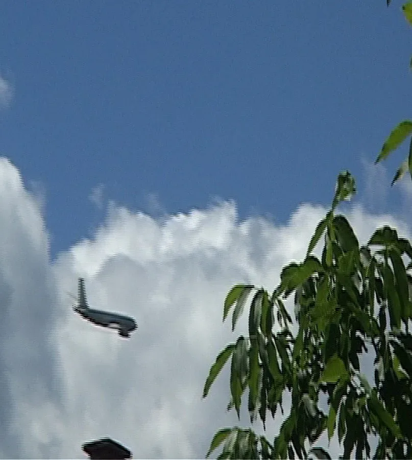 Нисколетящ самолет паникьоса новинари и селяни 