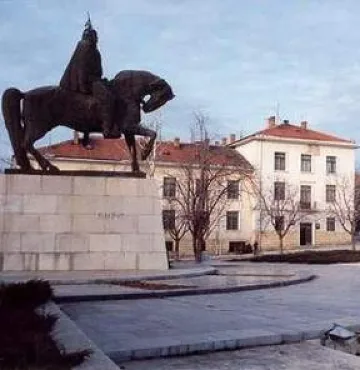 Паднало дърво потроши коли, собственост на община Исперих