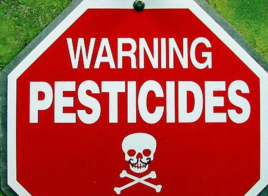 От 1 декември забраняват пестицидите заради пчелите