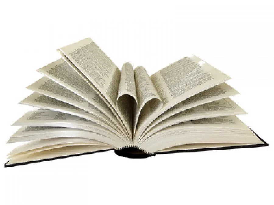 "Флашка" и "седесар" влизат в речника