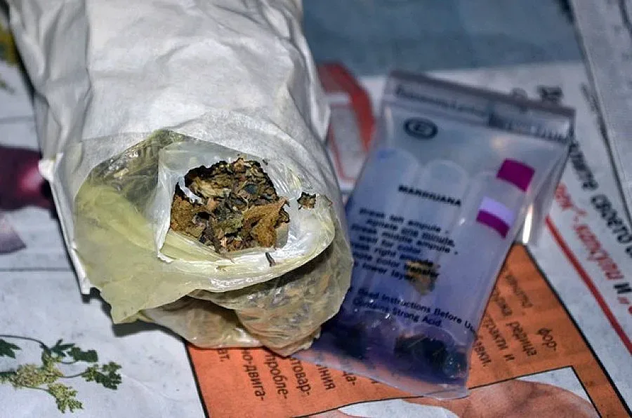 Стопани превърнали дома си в оранжерия за канабис