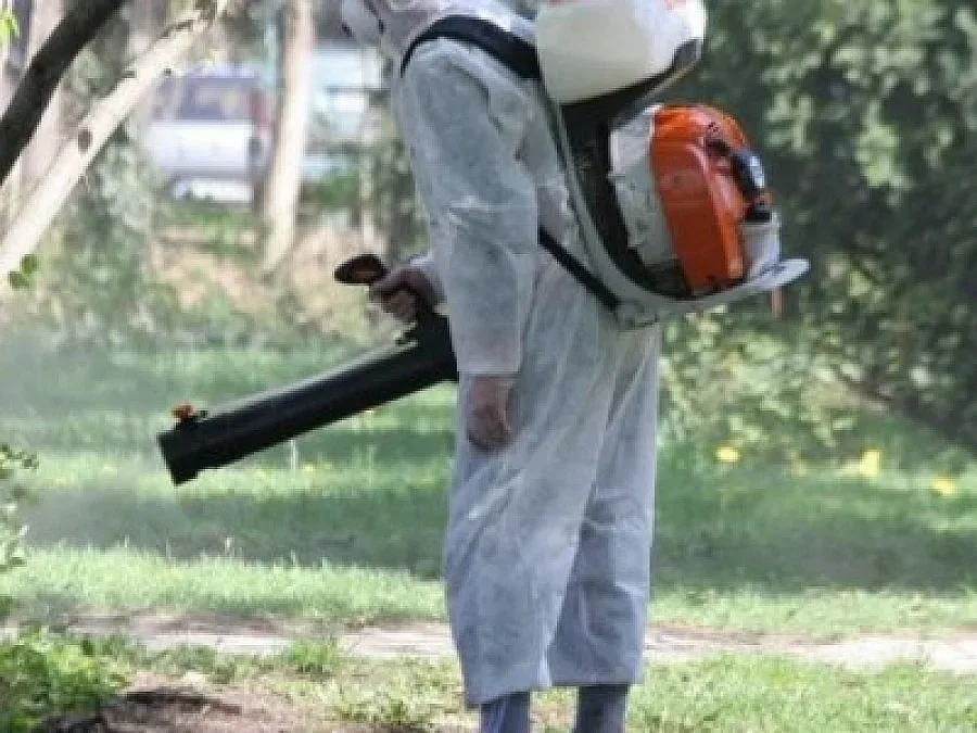 Втори епизод на битката с паразити в Благоевград