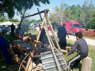 Ути готви агне в тиган от локомотив