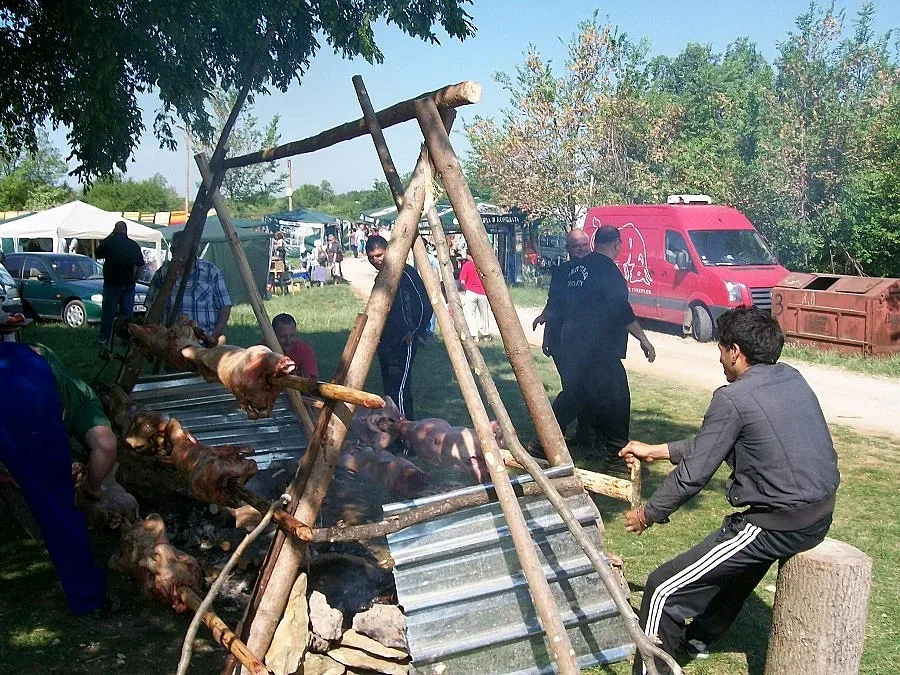 Ути готви агне в тиган от локомотив