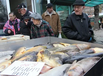 Откриха тонове мъртва риба край язовир
