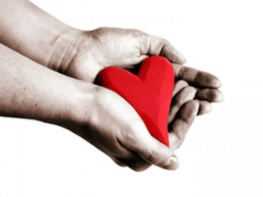 Да дадеш шанс за живот