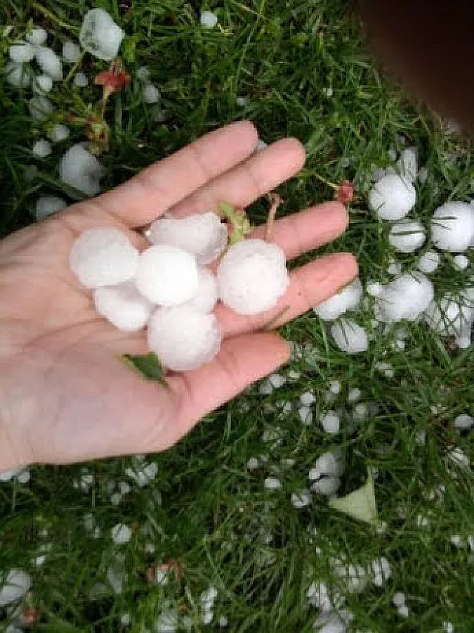 Градушка остави 1000 без работа