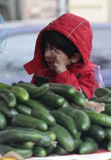 Туристическа компания произвежда сама част от менюто на туристите си