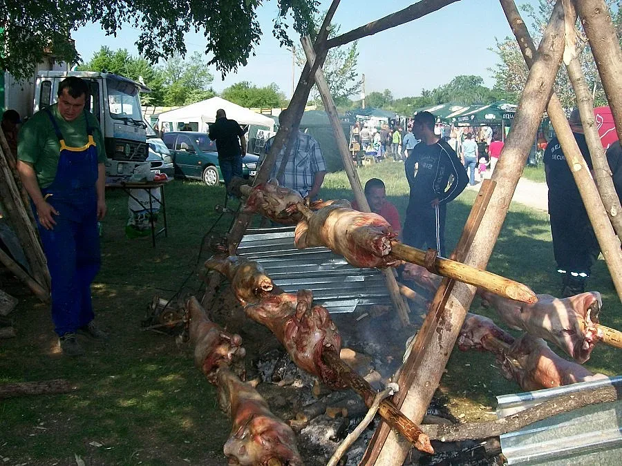Животновъди въртят чевермета за 24 май