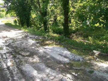 Градушка съсипа градини и лозя