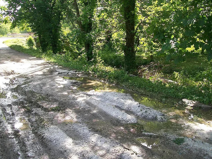 Градушка съсипа градини и лозя