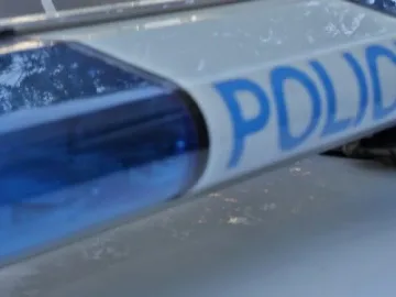 В САЩ искат 68 години затвор за българка