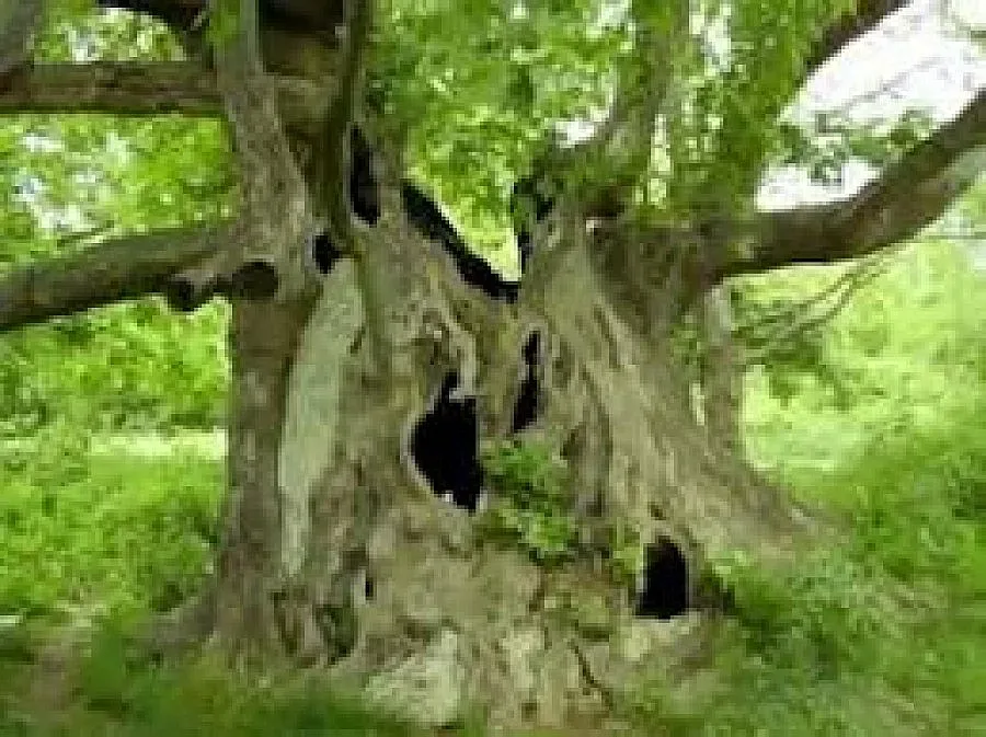 Дарители дадоха рамо на социални и екопроекти