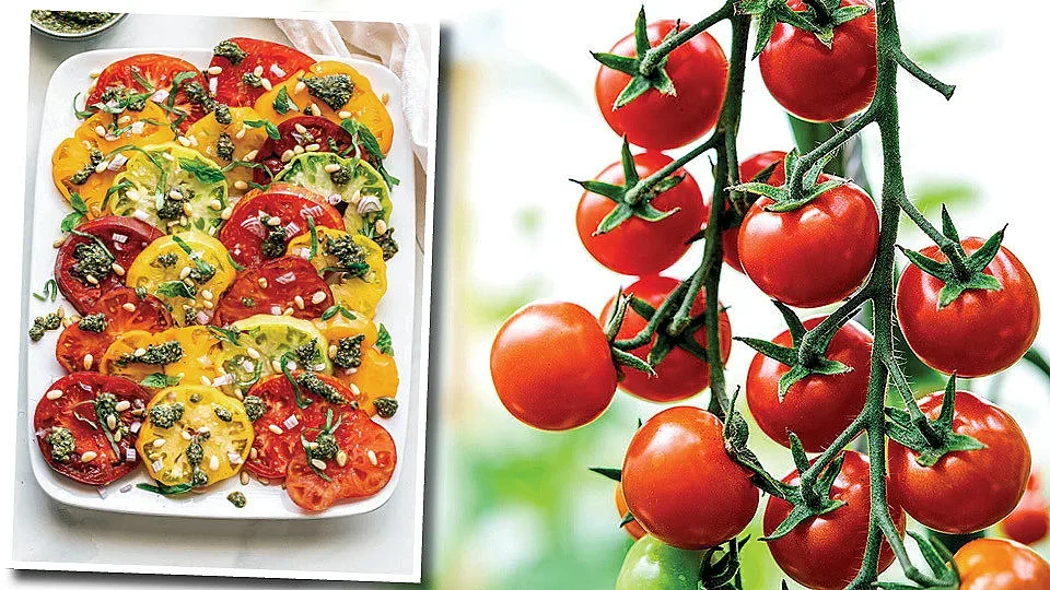 Най-вкусните домати шмеркезе. Една съставка ги прави уникални