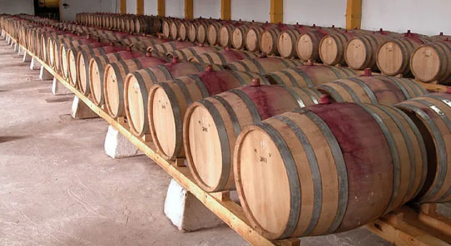 60 изби от Балканите представят вината си