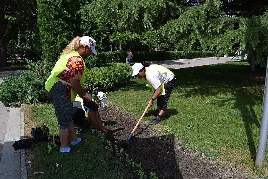 Градът на розите става цветна градина