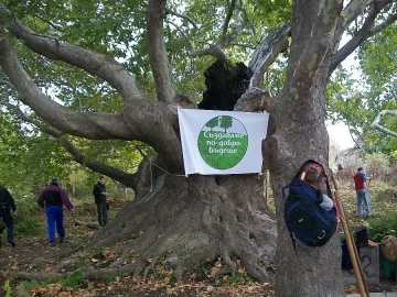 Битката  за парк Бедечка продължава