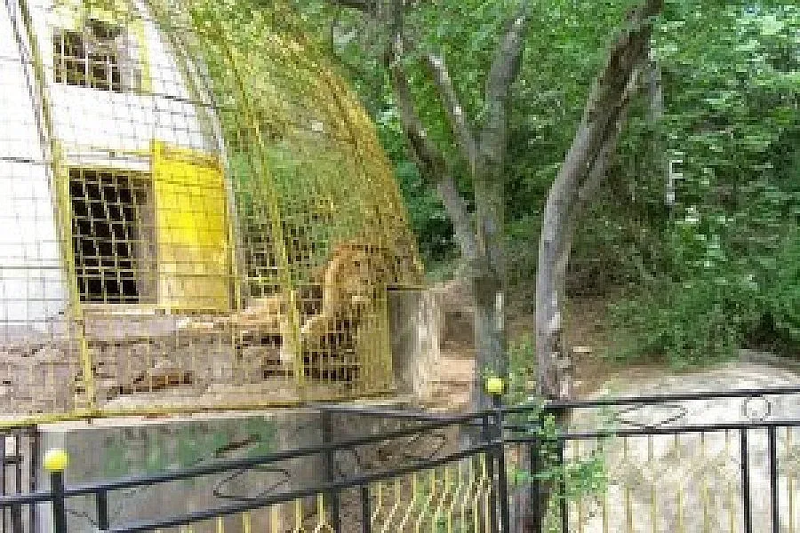 Сага с изчезнали животни в зоопарка в Благоевград