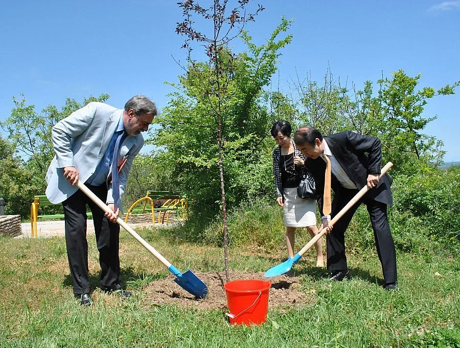 Японски вишни никнат край тракийска гробница 
