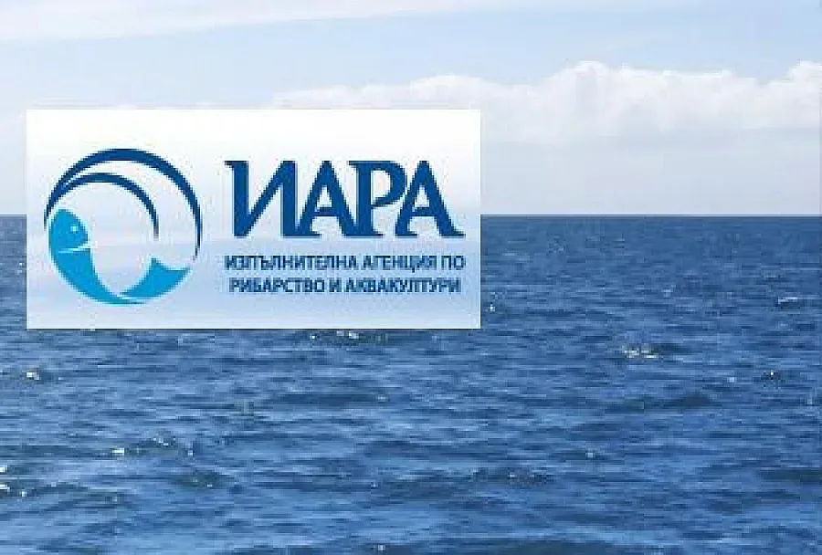 Разрешава се нощният любителски риболов