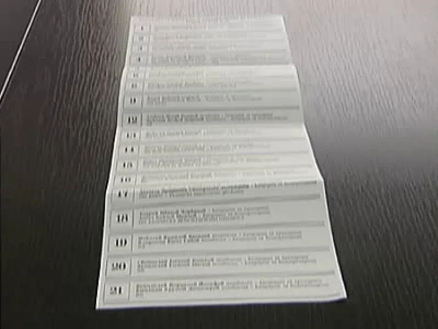 Караянчева: ДПС раздава копие от изборната бюлетина в кърджалийските села 