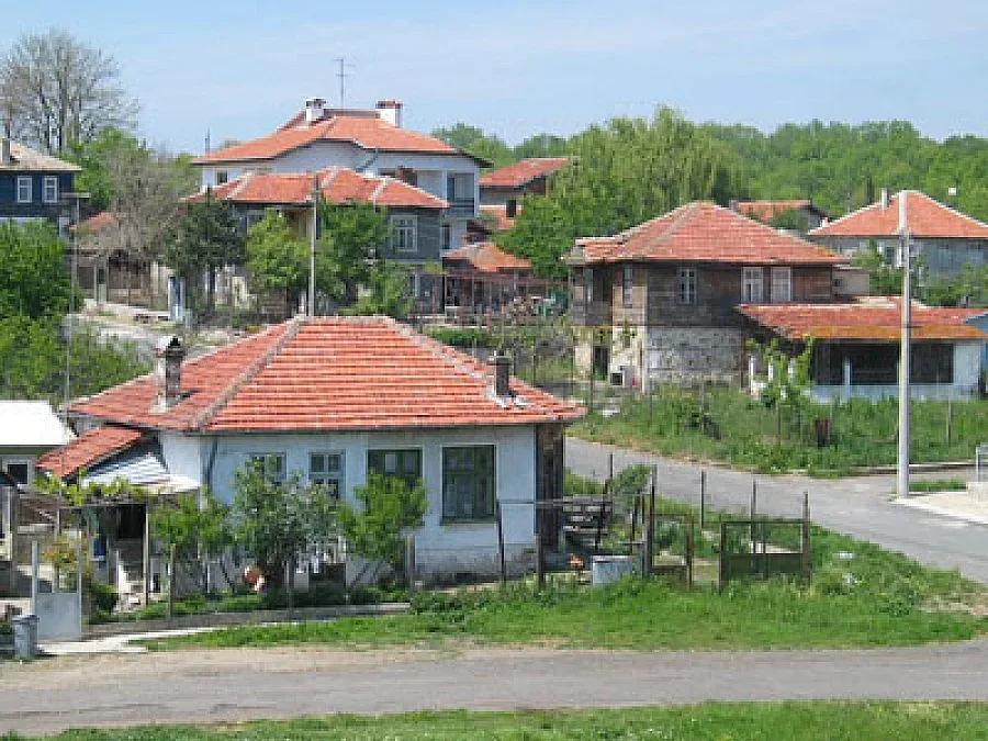 Село избира и кмет в неделя