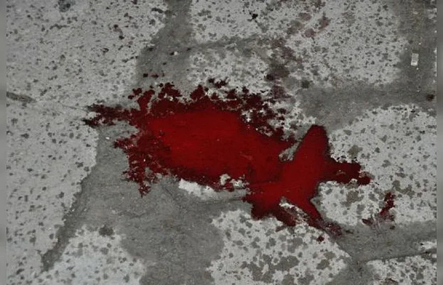 Локви с кръв след дербито на Пловдив