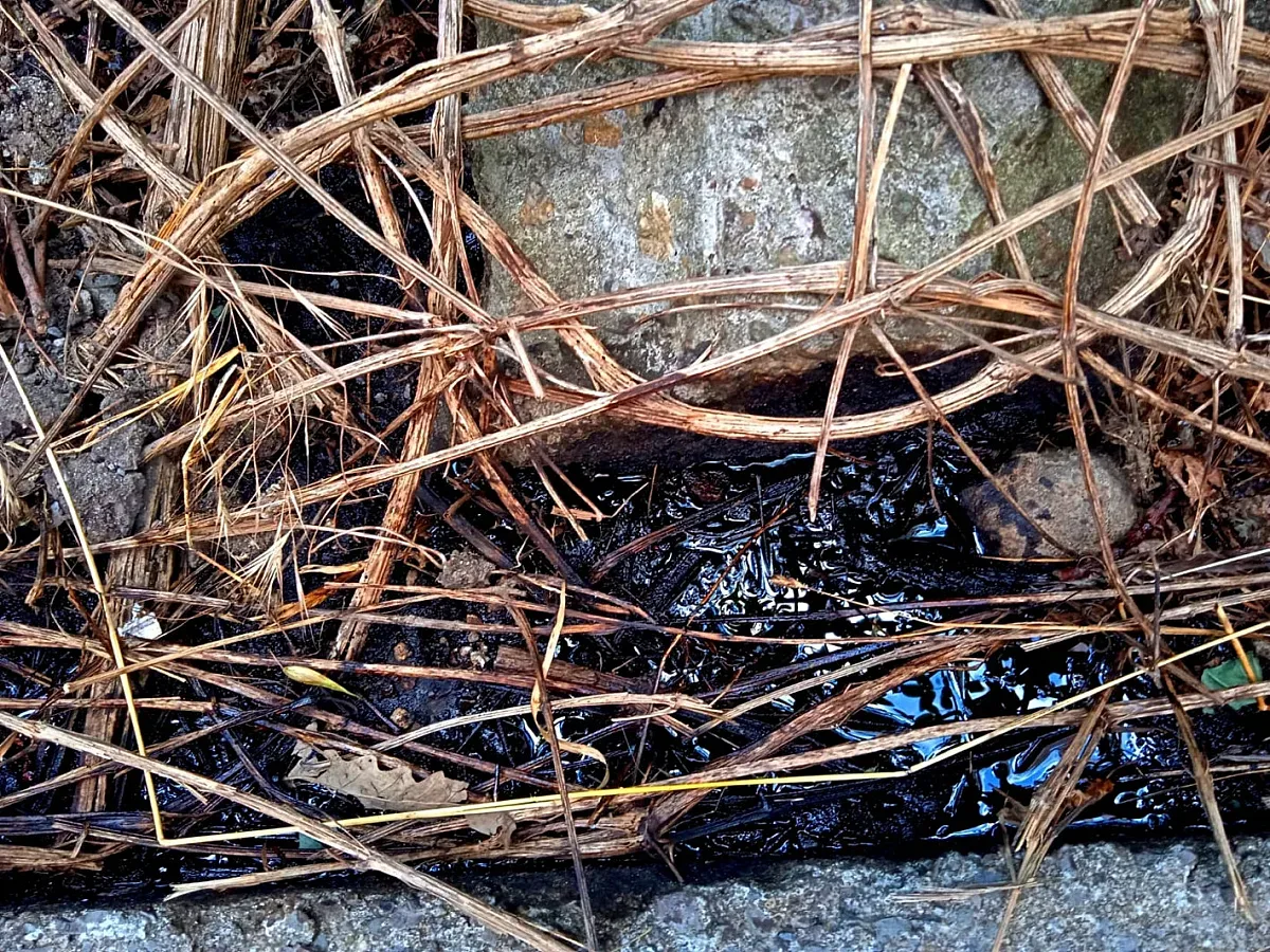 Непознато "море" от мазут изригва от земята!