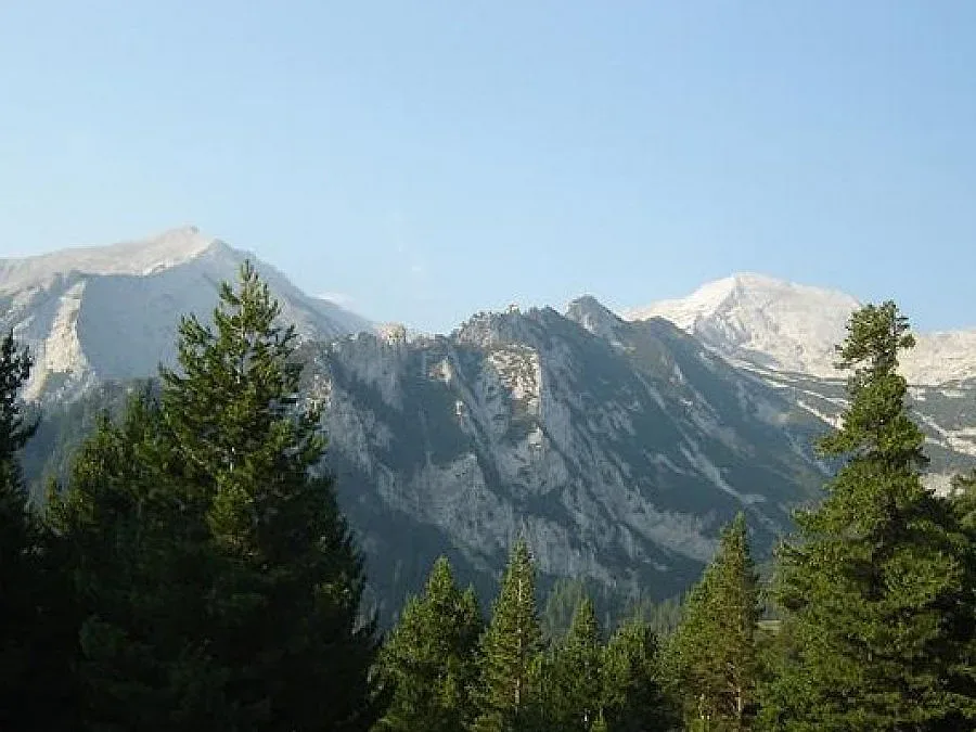 Искат оставката на шефа на парк „Пирин"