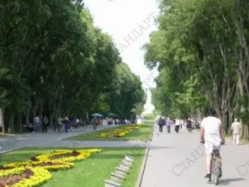 Зелен патрул и паяк шетат в Морската градина