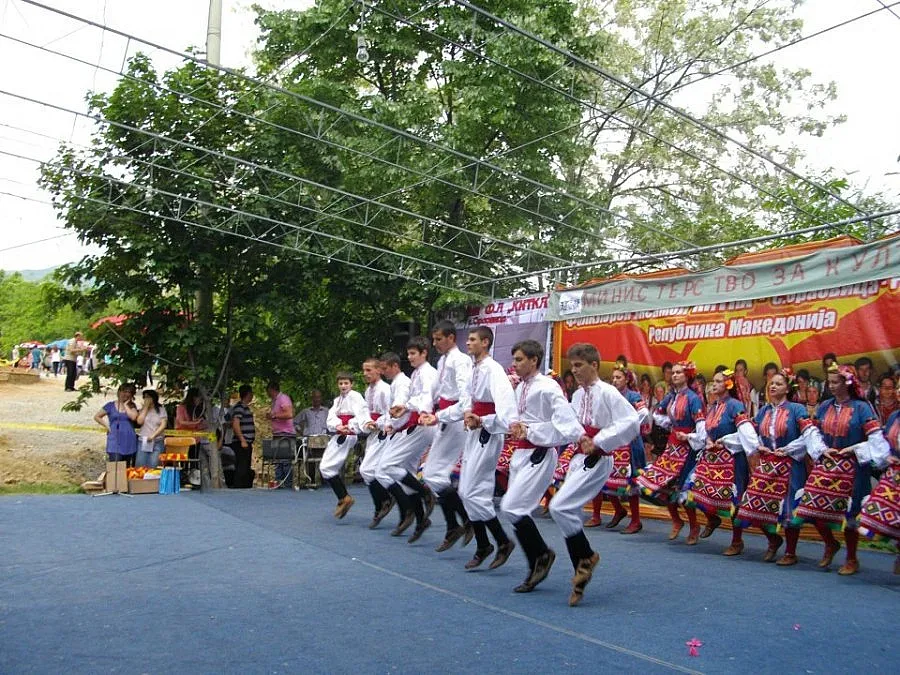 Ансамбъл „Малешевци" със сребро от международен фестивал