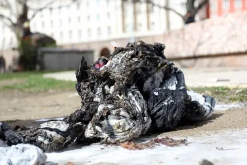 Би Би Си: Бедността тласка българите към самоубийство