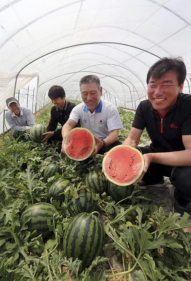 Брюксел въвежда правила за семената