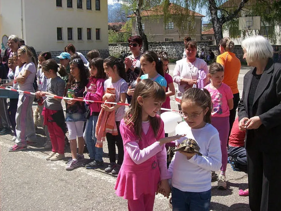 Над 80 домашни любимци дефилираха в Банско