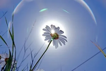 В понеделник се радваме на слънце и високи температури