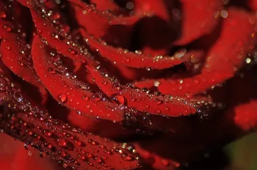 Дъжд и гръмотевици днес, температурите спадат