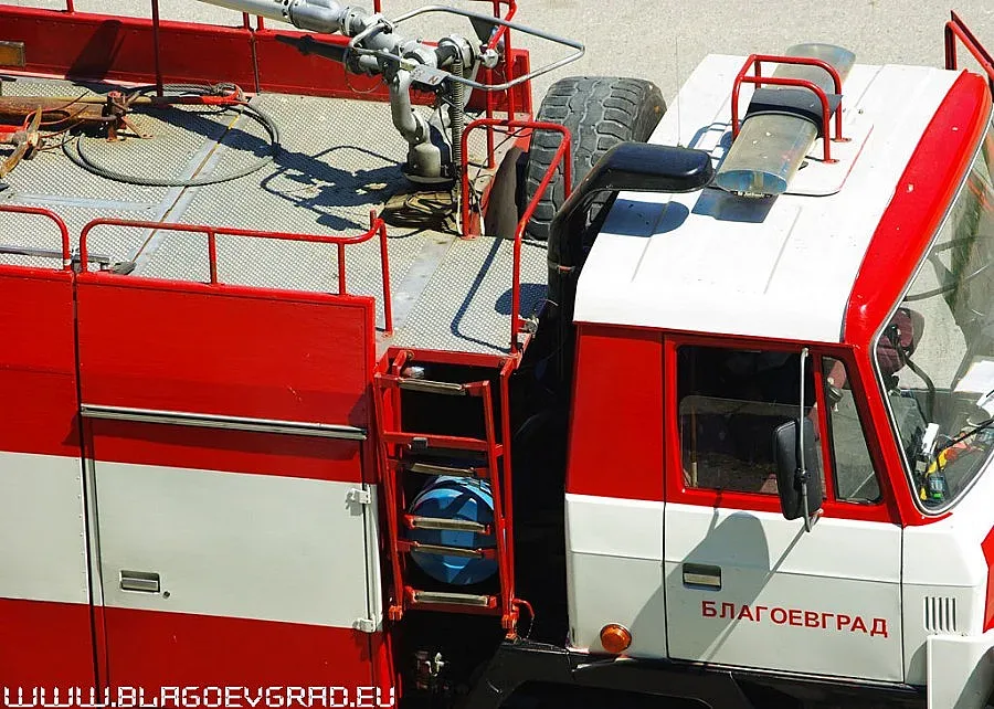 Пожар изпепели 50 декара иглолистна гора над Банско