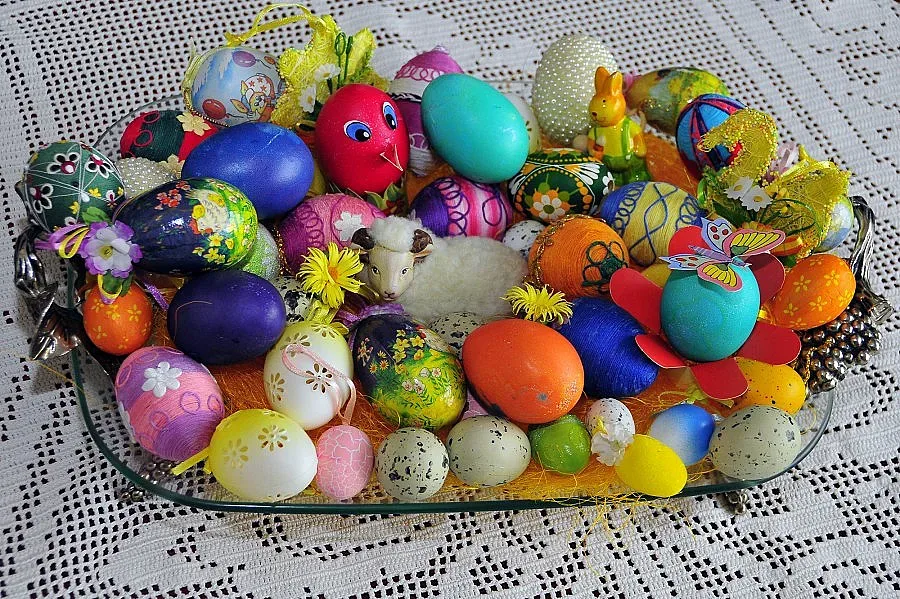 Тренировка с биячи за изборите 