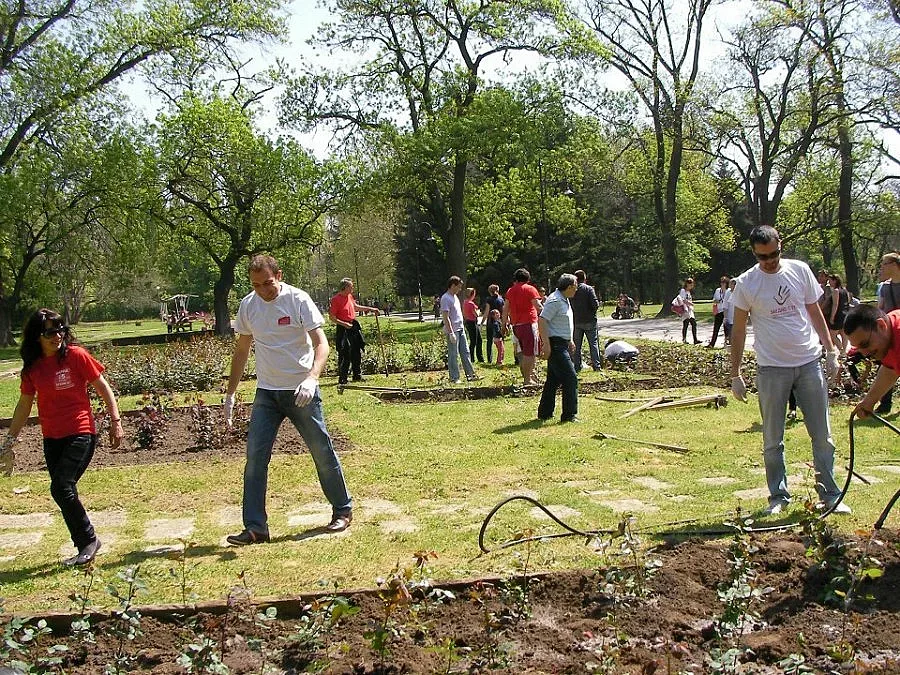 Социалисти засадиха стотици рози във Варна