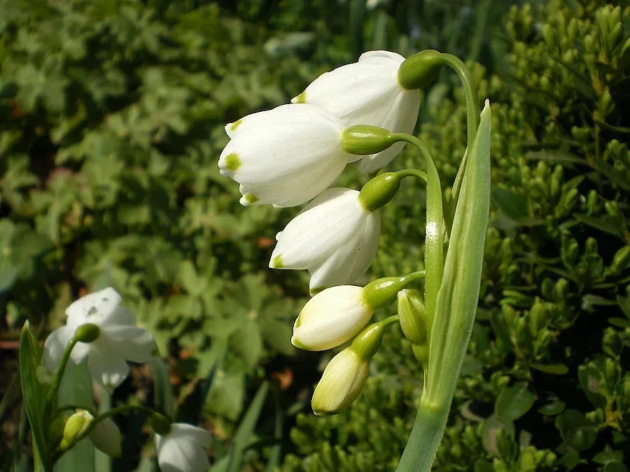 В Първомай не работят само в Деня на труда