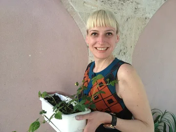 Палми срещу череши на изборите  