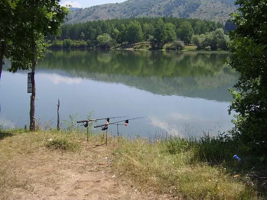 Губернатор нищи далавера с водоем