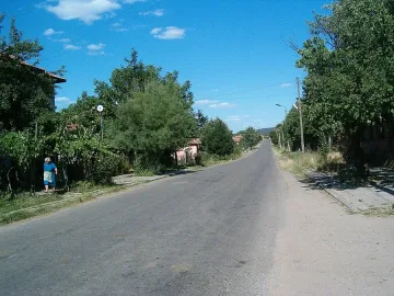 Момиче загина на улицата