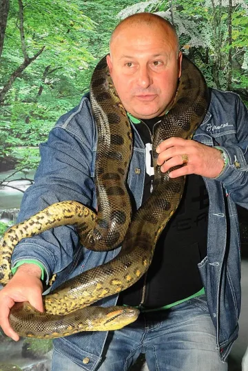 Змия съсипа празника в школо