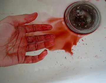 Българи изобретиха софтуер, който прогнозира жертви и щети от терор